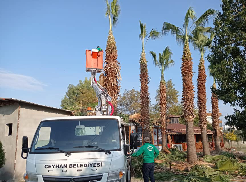 Ceyhan Belediyesi Park ve Bahçeler Müdürlüğü ilçe genelinde çalışmalarını sürdürüyor.