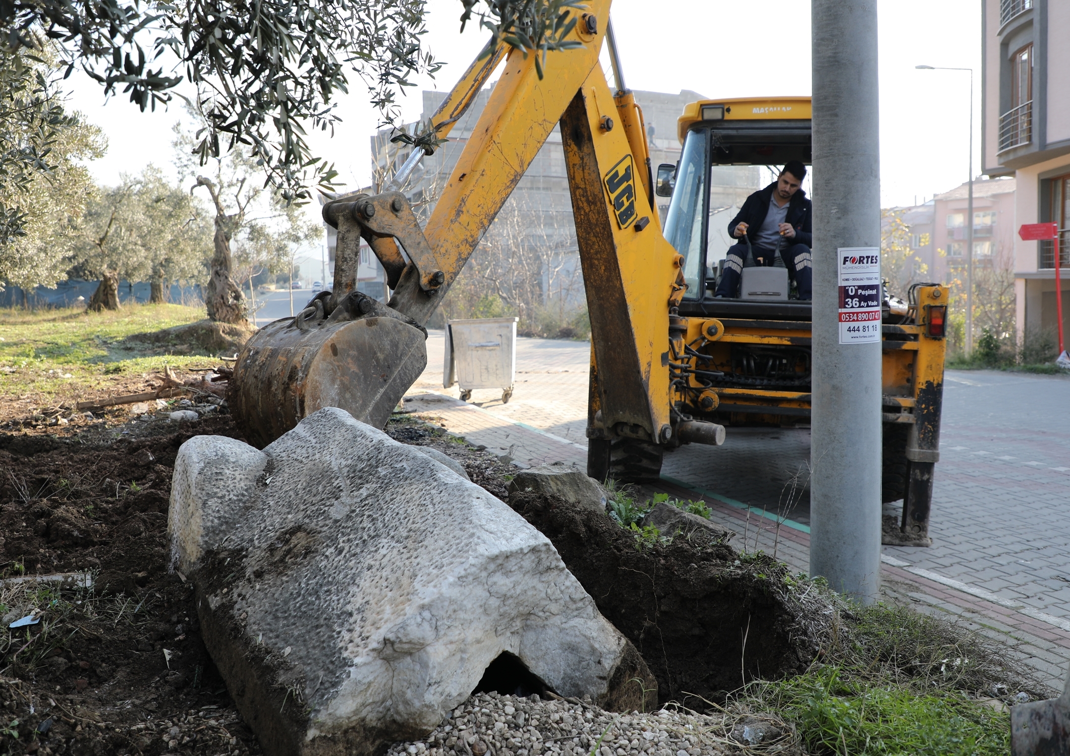 Gemlik Eski Mezarlık bölgesinde zeytinlik alanda 1800 yıllık olduğu tahmin