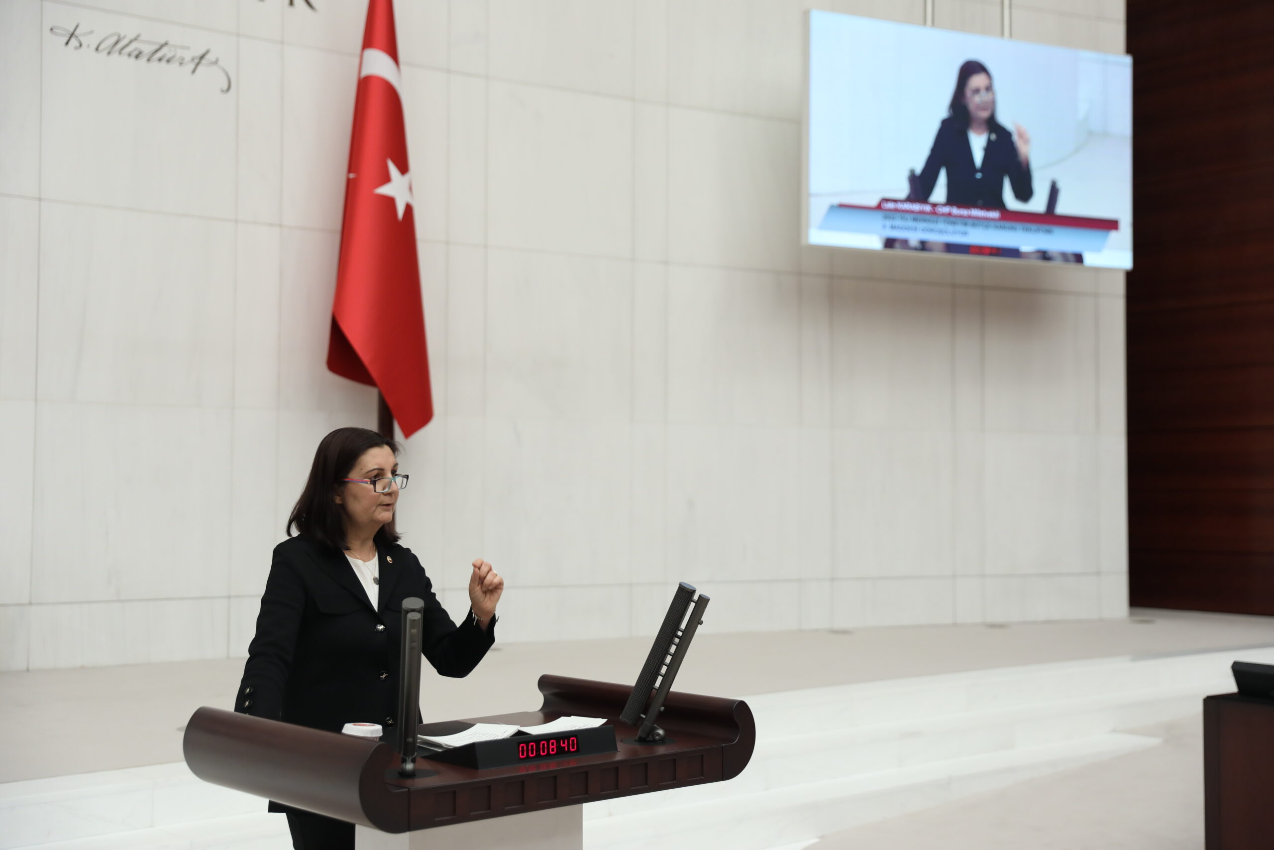 CHP Genel Başkan Yardımcısı ve Bursa Milletvekili Lale Karabıyık, TBMM