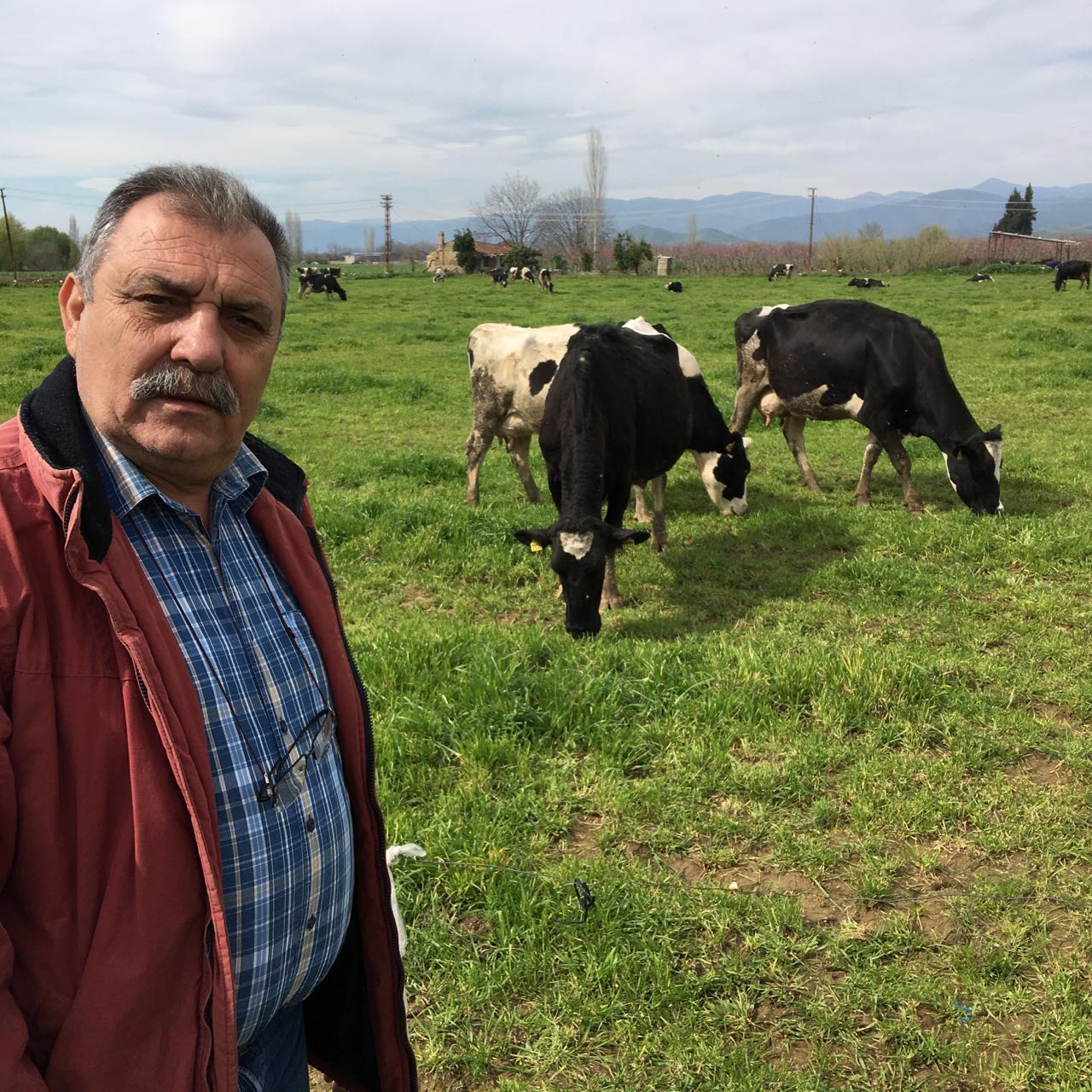 Çiğ Süt litre fiyatına gelen zammın ardından üreticide rahatlama yaşanırken