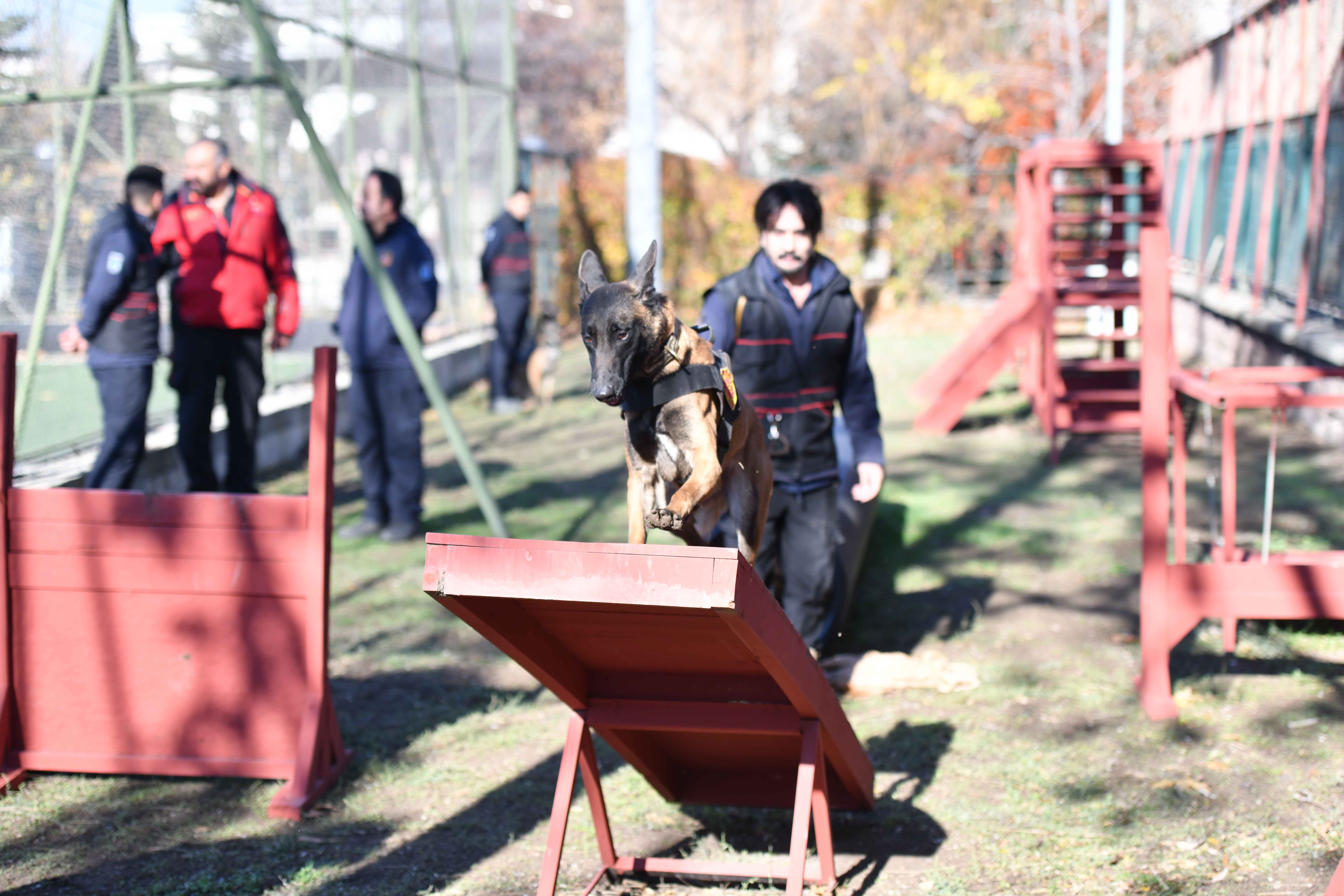 ANKARA İTFAİYESİ’NDEN ÇİFTE BAŞARI: ARAMA KURTARMA KÖPEKLERİNİN BAŞARISI KANITLANDI Doğal afet, sel ve yangınlarda gösterdiği özverili çalışmalar ile adından