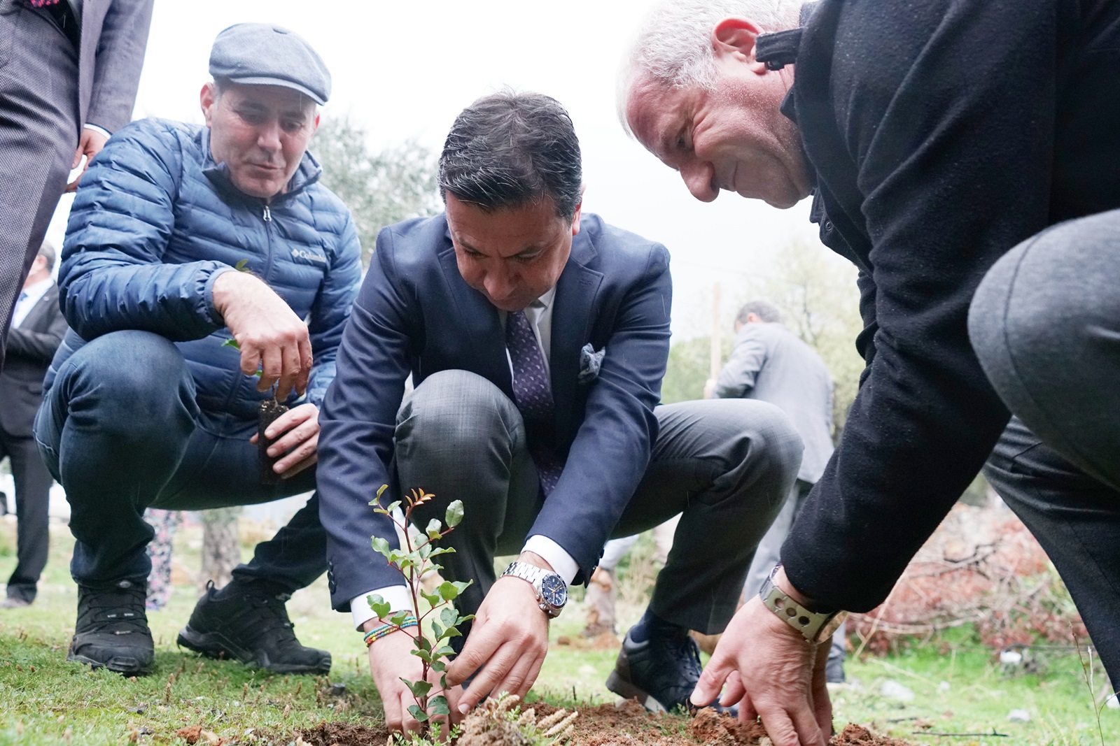 Bodrum Yarımadası’nın doğu ve kuzeydoğusunda, 31 Temmuz-12 Ağustos tarihleri arasında