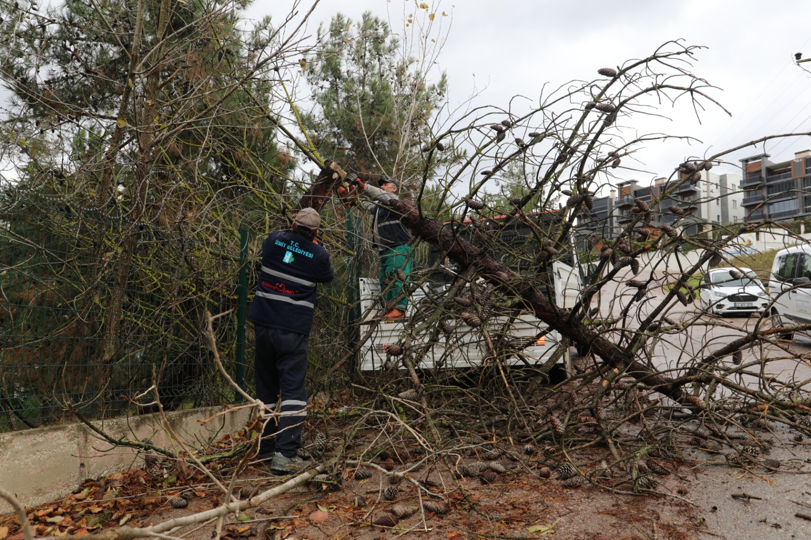 İzmit Belediyesi lodosta devrilen ağaçlara anında müdahale etti izmit Belediyesi, lodos nedeniyle kent genelinde devrilen ağaçlara müdahale ederek