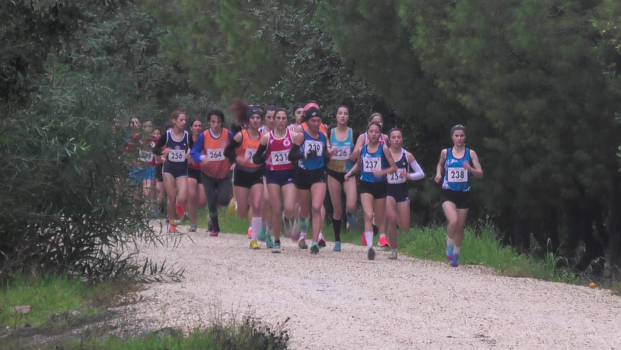 Mersin Büyükşehir Belediyesi, bir yandan kendi düzenlediği spor organizasyonları ile