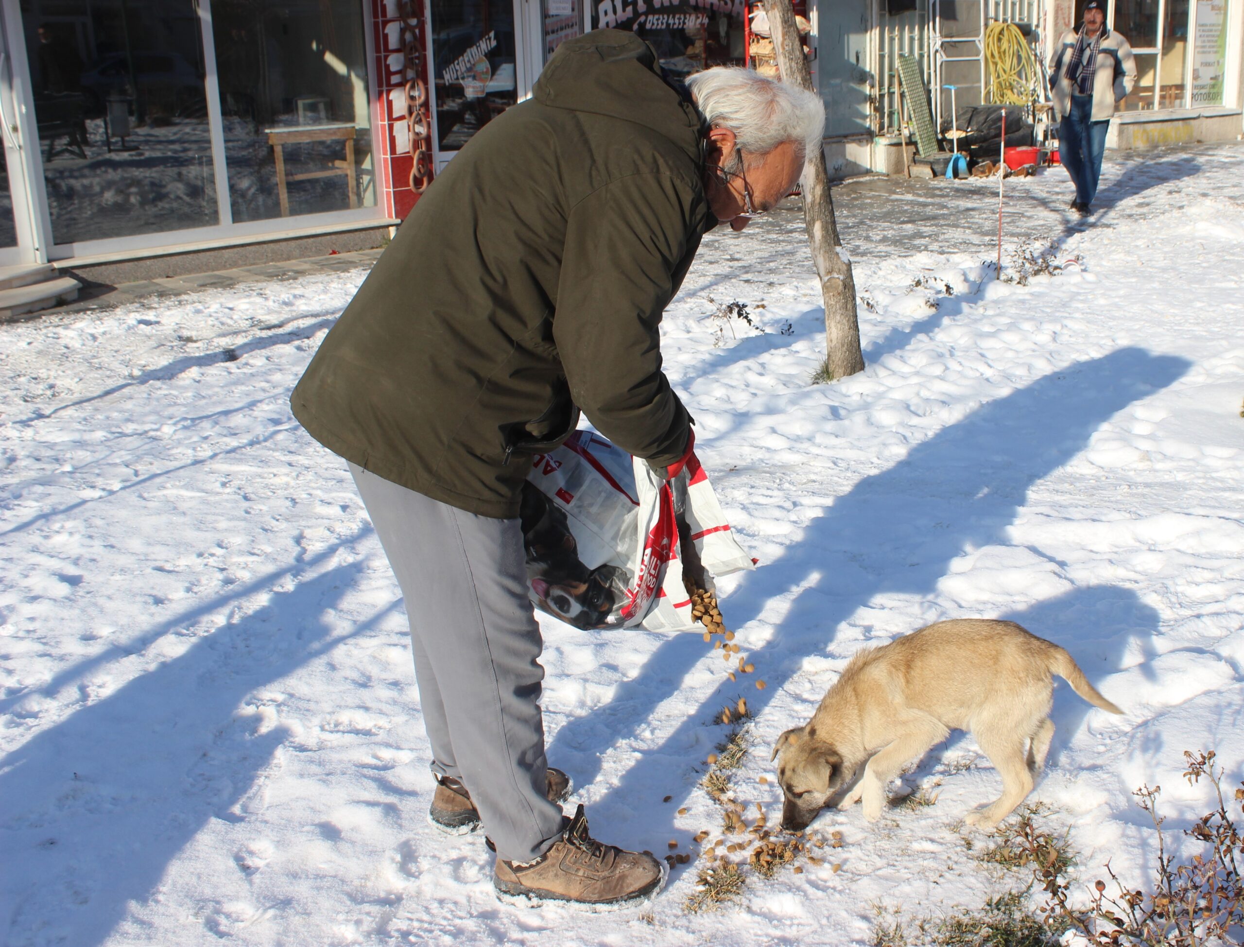 Mahmudiye Belediyesi ekipleri, özellikle hava şartlarının olumsuz gitmesiyle, yiyecek bulmakta