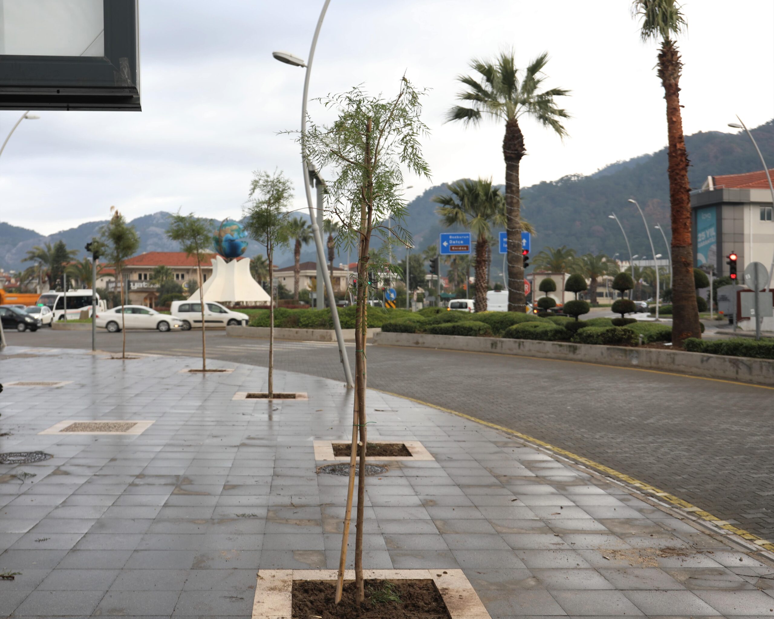 Yaklaşık iki yıl önce ilçede ağaçlandırma seferberliği başlatan Marmaris Belediyesi,