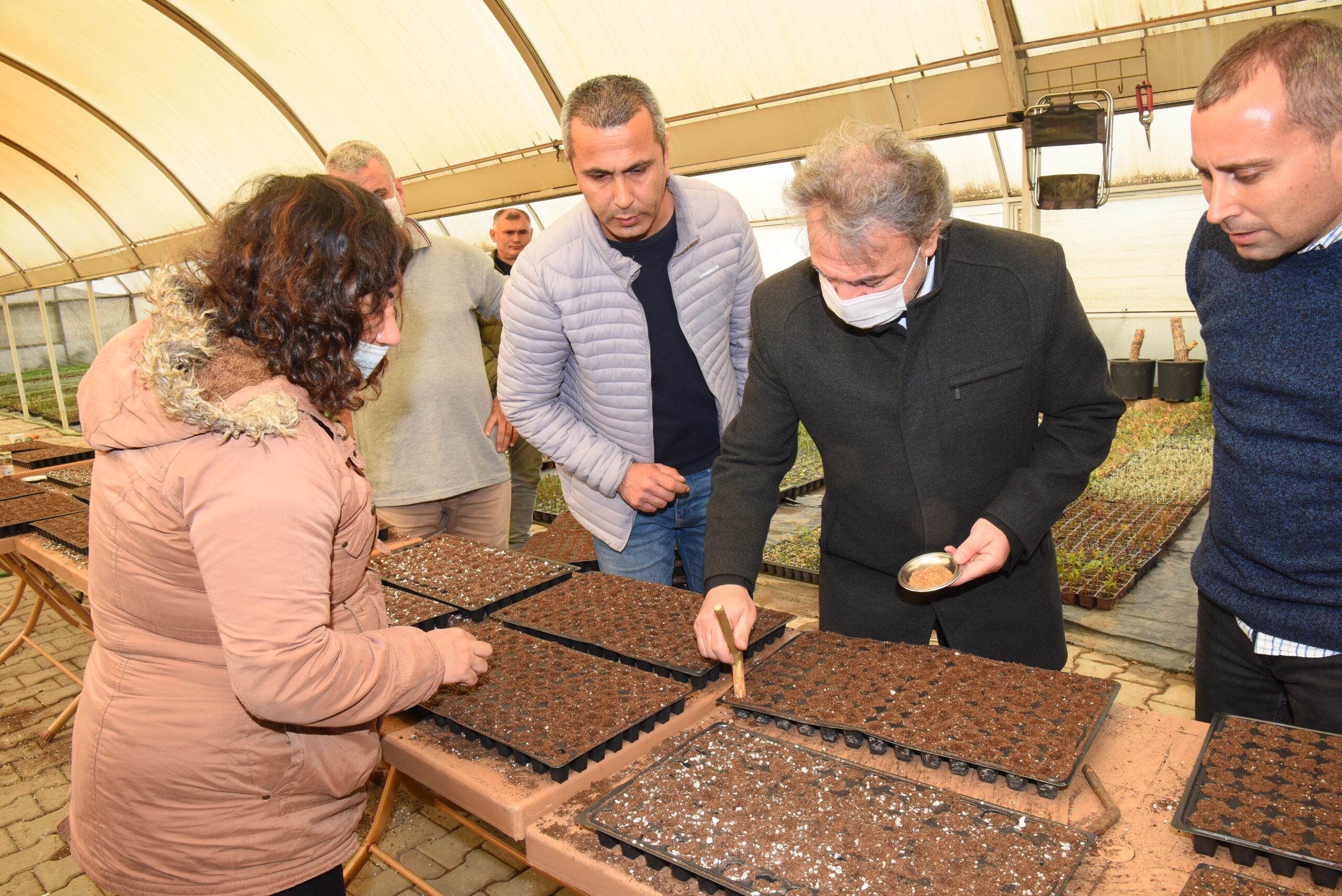 Bornova Belediyesi atalık tohumlarla sebze yetiştirmek için çimlendirme çalışmalarına başladı.