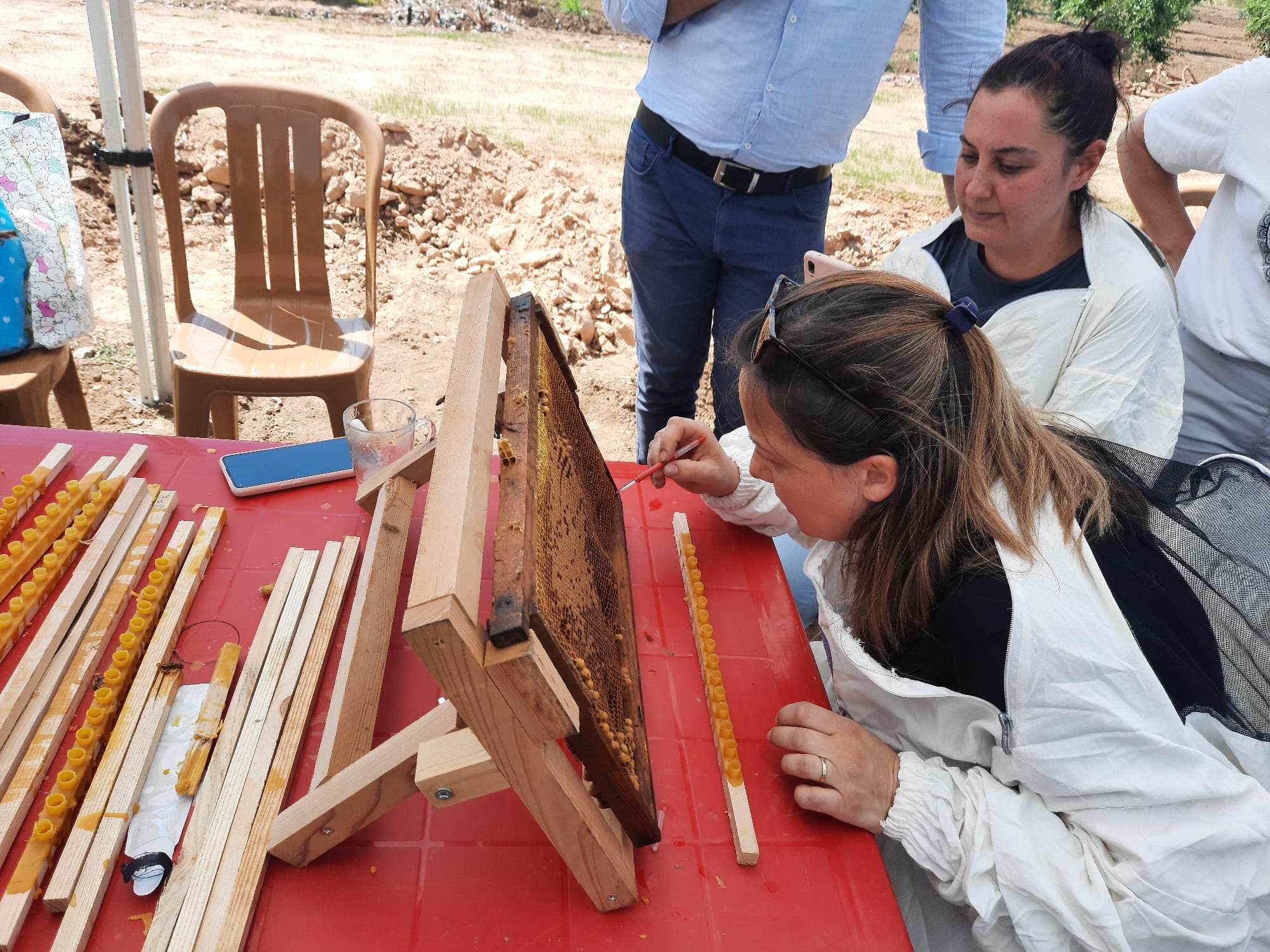 Muğla Büyükşehir Belediyesi, 20 Mayıs Dünya Arı Günü nedeniyle 16-21