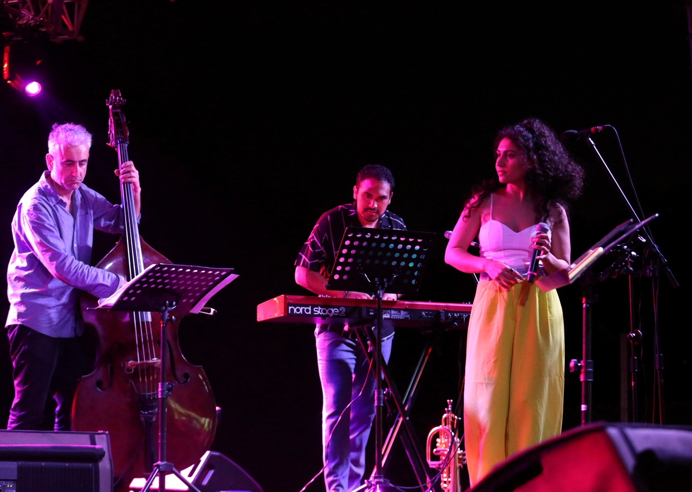 Nilüfer 7. Caz Festivali kapsamında sahne alan caz müziğinin sevilen