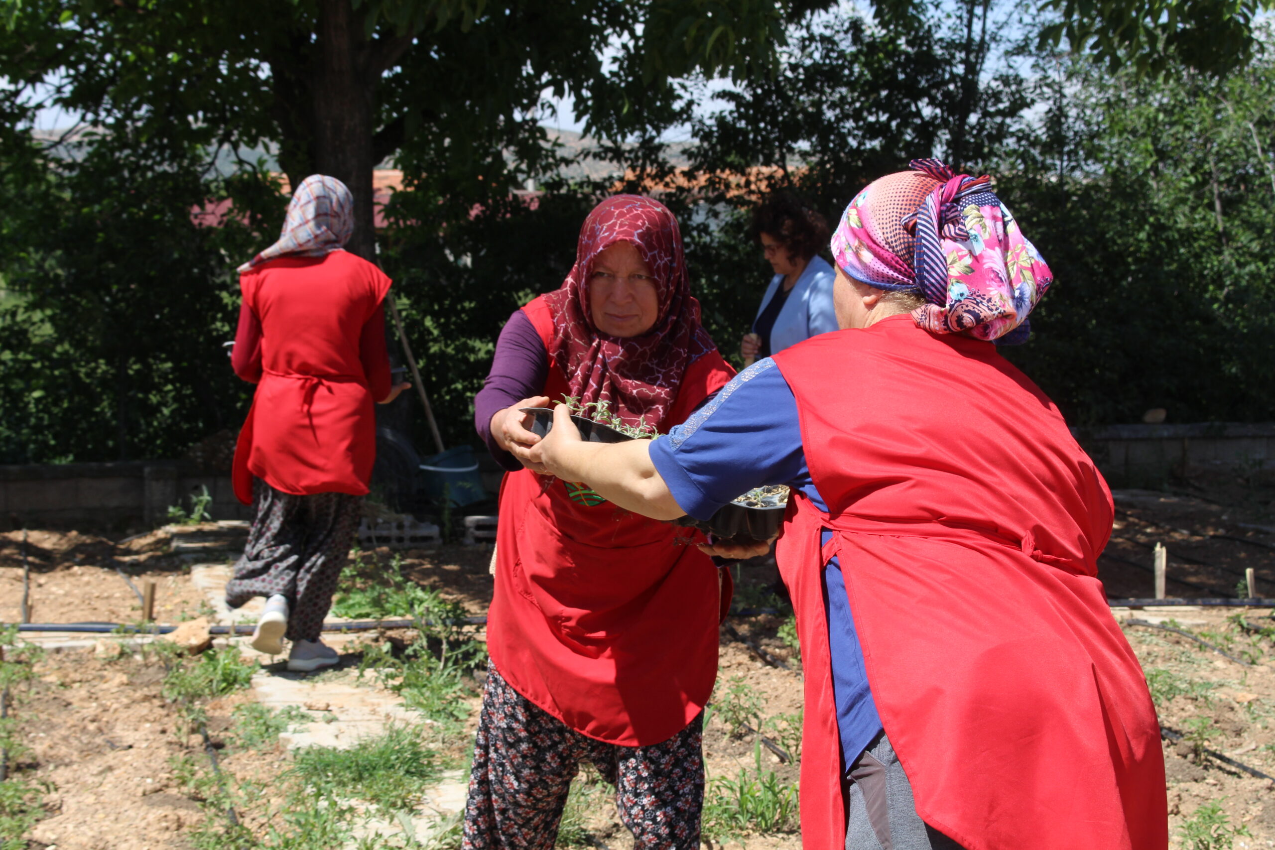 Antalya Büyükşehir Belediye Başkanı Muhittin Böcek’in, yerelden kalkınma hedefiyle destek