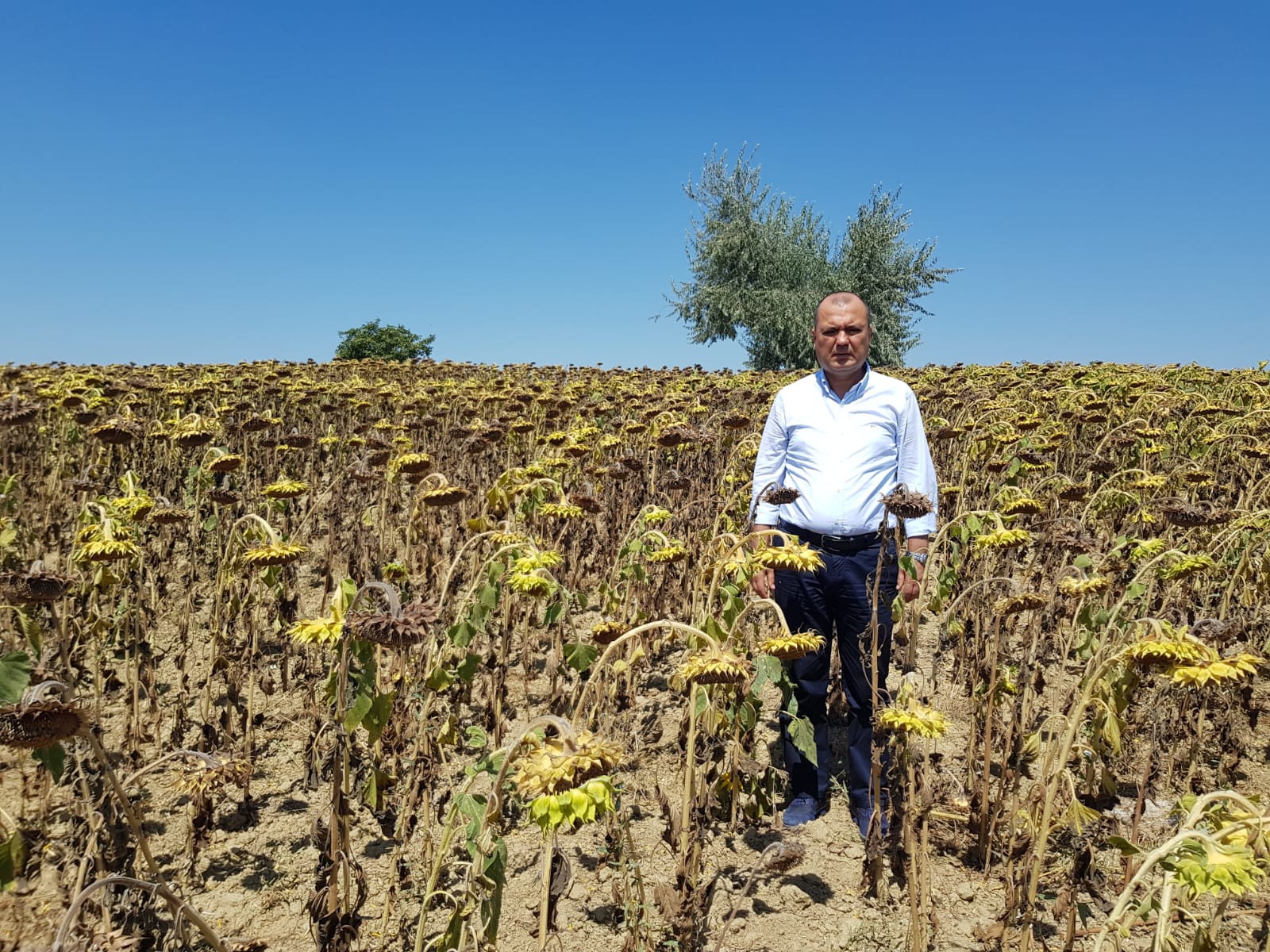 AYÇİÇEKTE TABAN FİYAT, KİLO BAŞINA 16 LİRA OLSUN” “SIFIRLADIĞINIZ GÜMRÜK