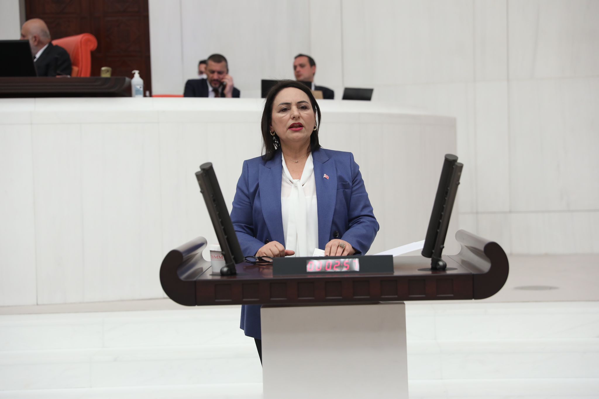 CHP Adana Milletvekili Dr. Müzeyyen Şevkin, pandemi ve ekonomik krizin