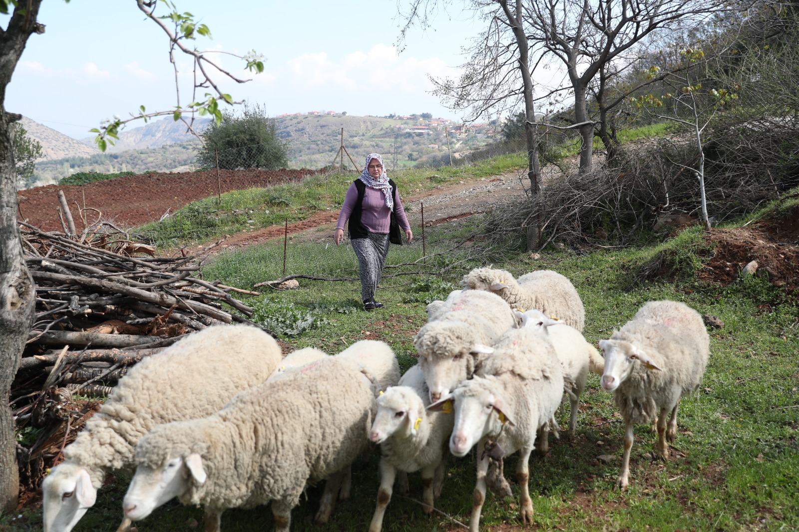 Merkezefendi Belediyesi tarafından ‘Kırsal Kalkınma Eylem Planı’ dahilinde kadın üreticilere