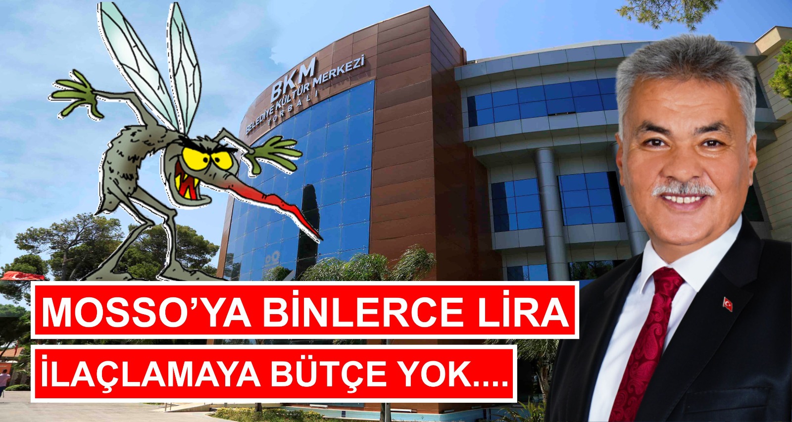 Chp’li Belediyeciliğin Dandiskasını yaşayan TORBALI Halkı Sivrisinek ısırığı ve istilasından