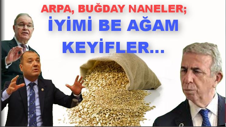 CHP’li belediye ile milletvekilinin 62 milyon TL’yi bulan buğday-arpa alışverişi