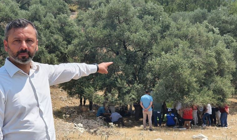 CHP Muğla Milletvekili Burak Erbay; zeytinliklerin madencilik faaliyetlerine açılmasının öngören