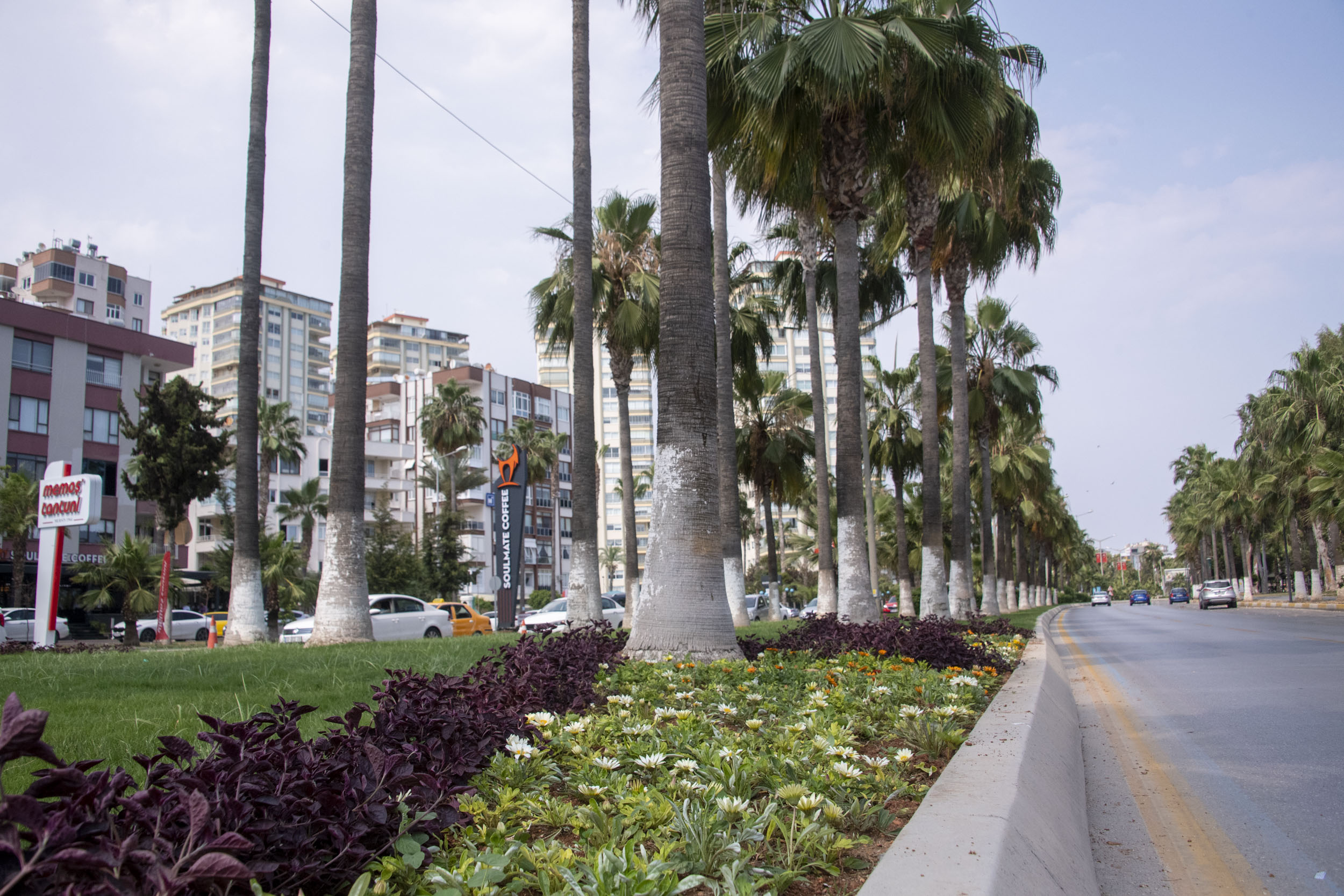 MERSİN, BÜYÜKŞEHİR’LE 2022’DE DE YEŞİLE DOYDU Mersin Büyükşehir Belediyesi Park