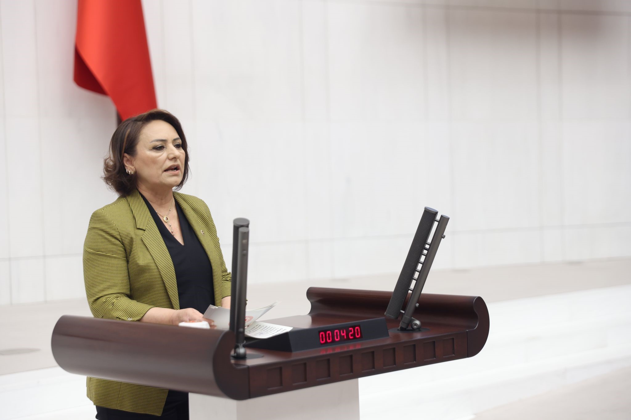CHP Adana Milletvekili Dr. Müzeyyen Şevkin, iktidarın üvey evlat muamelesi