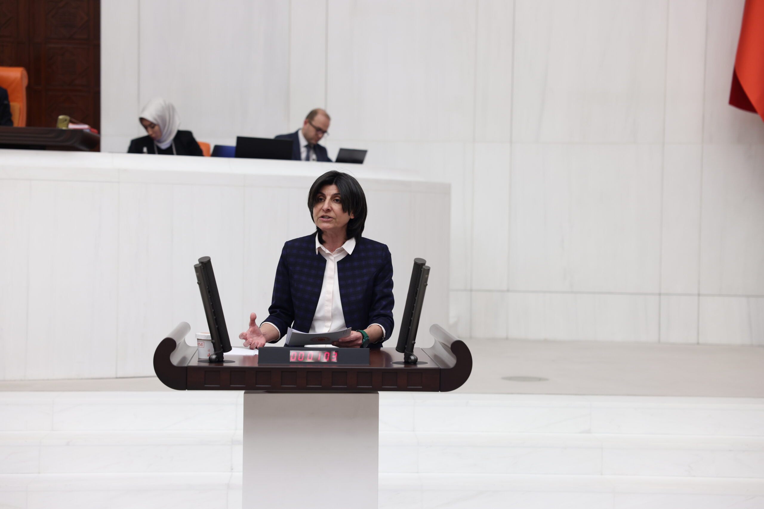 ÖZDEMİR: BANKACILIK SEKTÖRÜ ÇALIŞANLARININ SORUNLARI ARAŞTIRILSIN CHP İstanbul Milletvekili Sibel