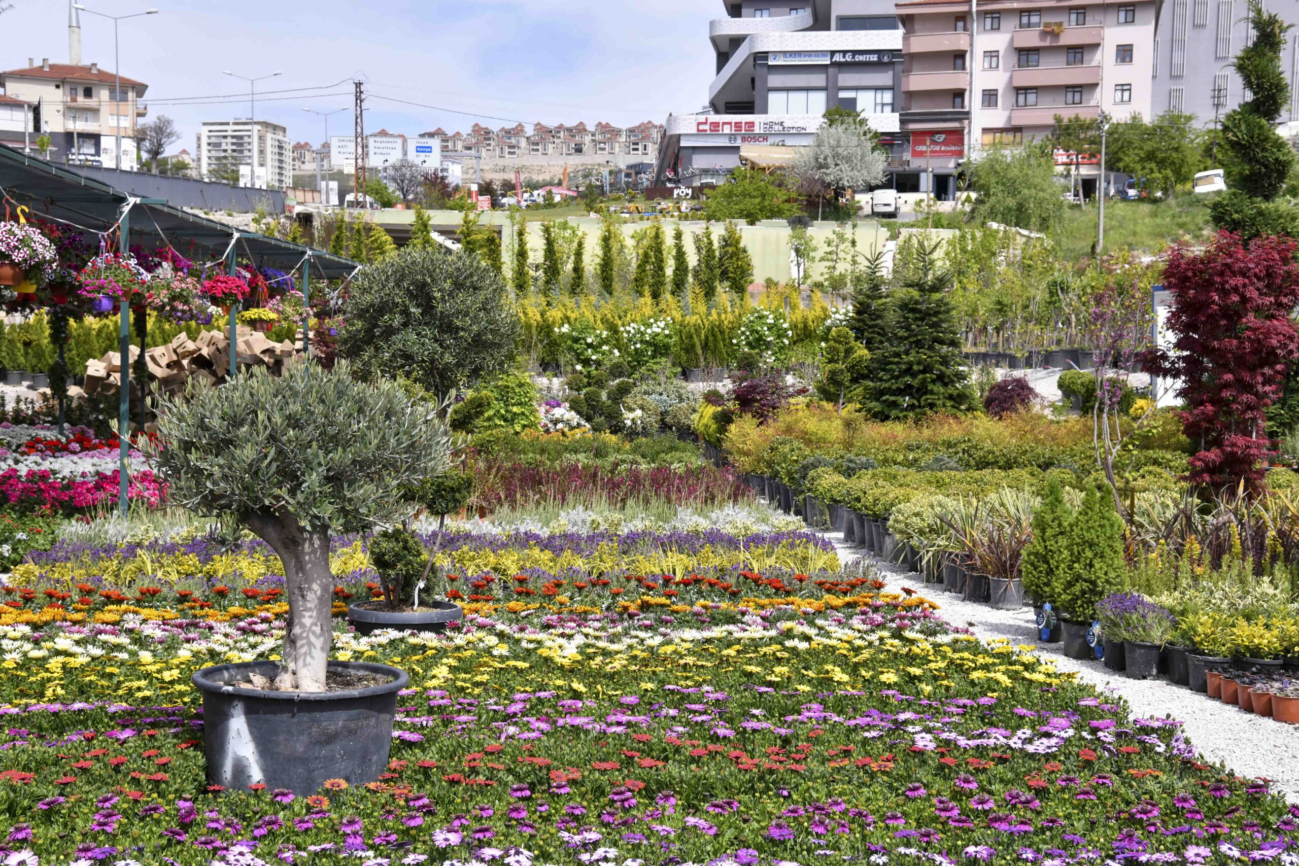 12 Mayıs Cuma günü Başkentte yaşanan yoğun yağış nedeniyle meydana