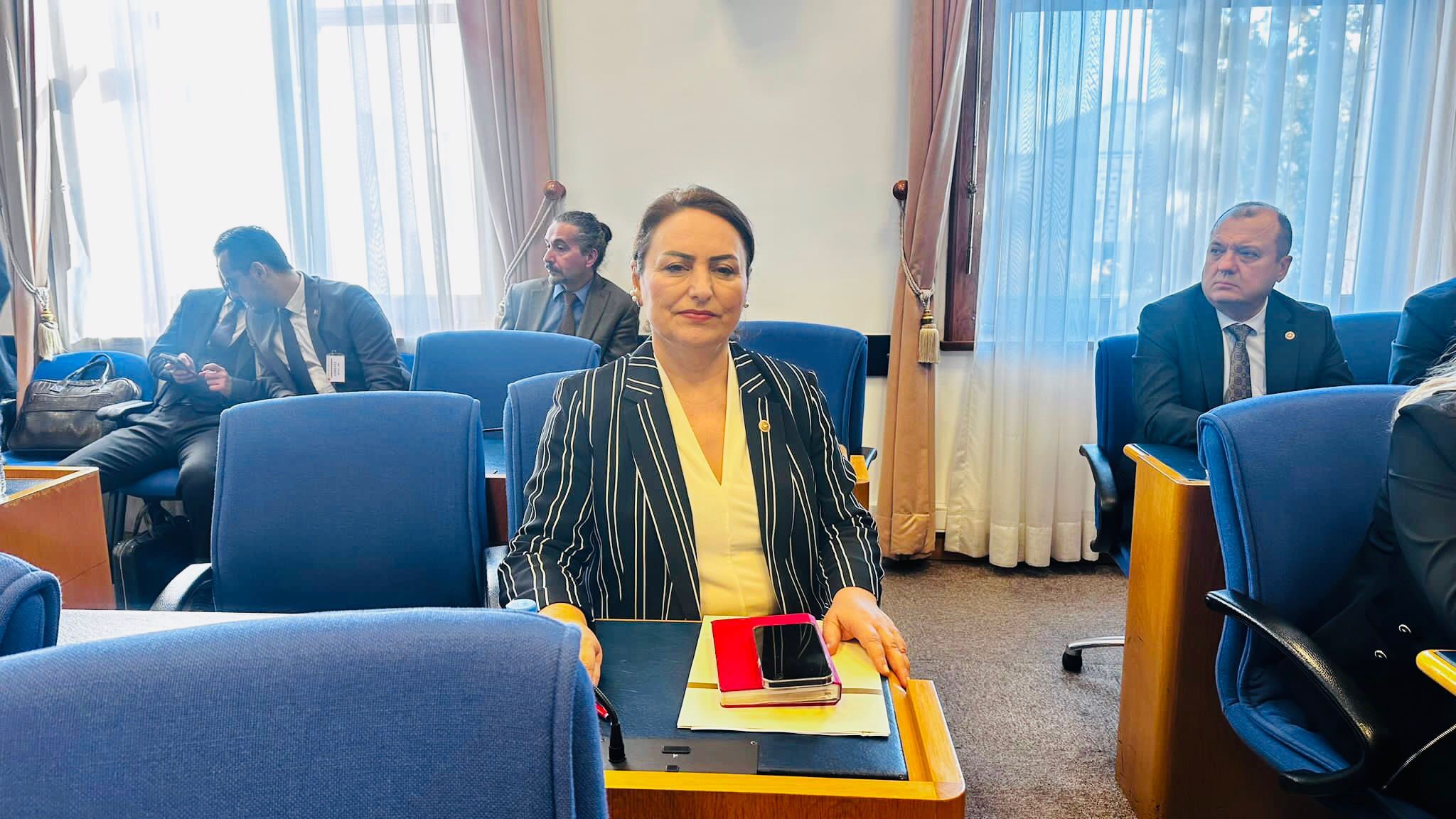 CHP Adana Milletvekili, TBMM Sanayi, Ticaret, Enerji, Tabii Kaynaklar, Bilgi