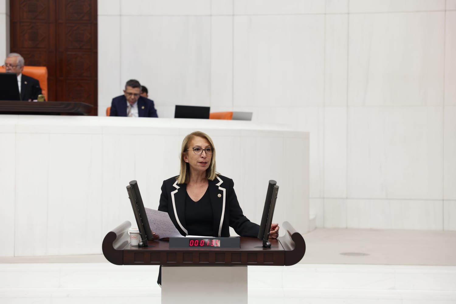 Muğla Milletvekili Süreyya Öneş Derici, Bodrum Kızılağaç Mahallesi’nde bulunan, ormanvasıflı,
