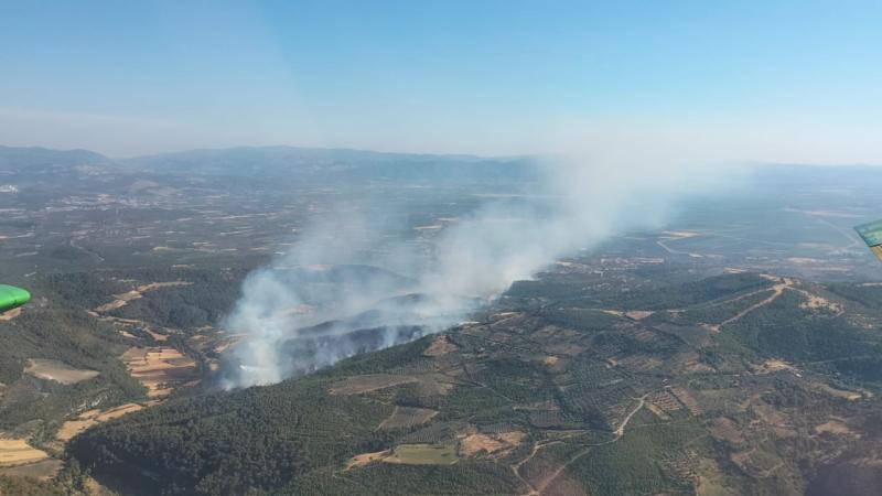 İzmir’in Bergama ilçesinde çıkan orman yangını, havadan ve karadan müdahaleyle