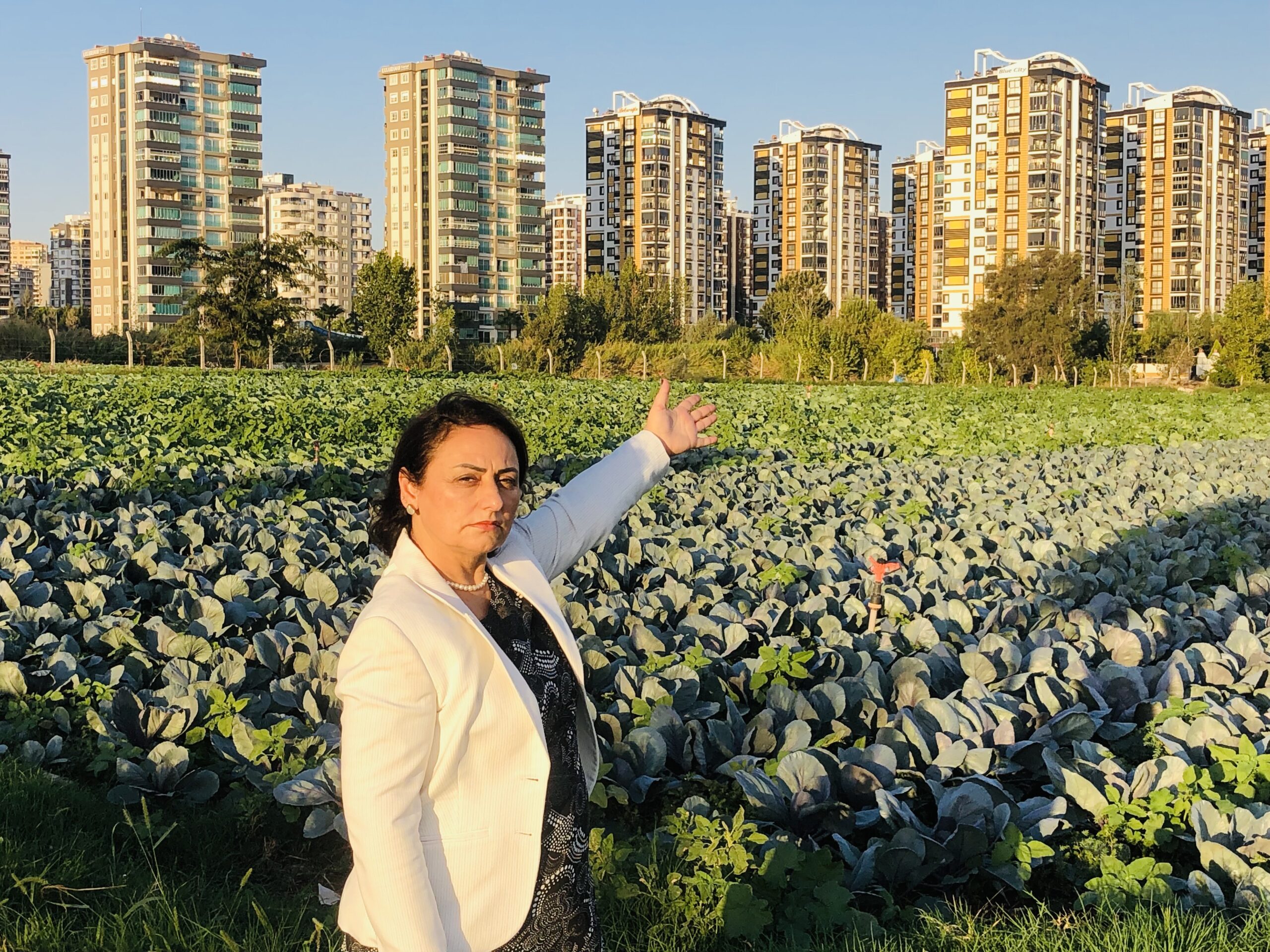 CHP Adana Milletvekili Dr. Müzeyyen Şevkin, önce yağmur ve dolu,
