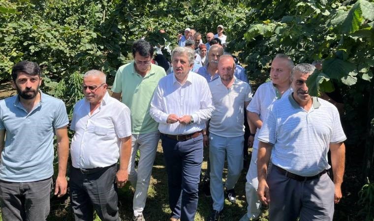 CHP Samsun Milletvekili Murat Çan, fındık üreticilerinin sorunlarına ilişkin “Toplamasından