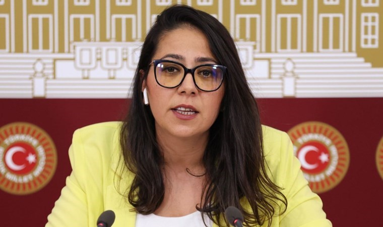 Türkiye İşçi Partisi Milletvekili Sera Kadıgil, Öğretmenlik Meslek Kanunu teklifini