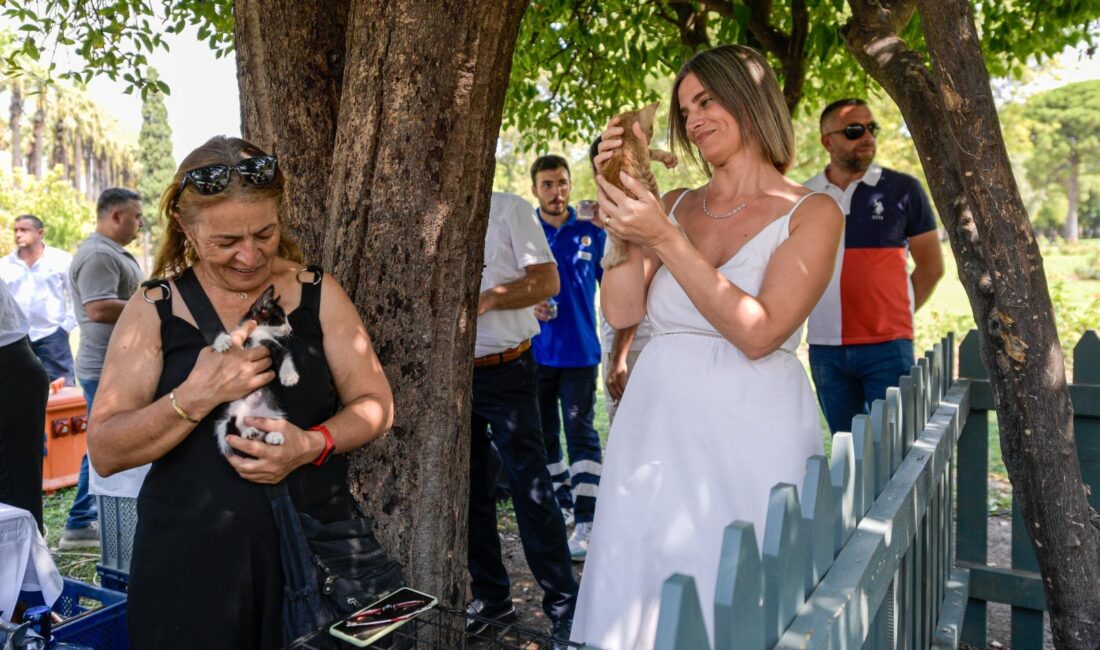 İzmir’de Patili Perşembe ile can dostlar yeni yuvalarına kavuştu İzmir