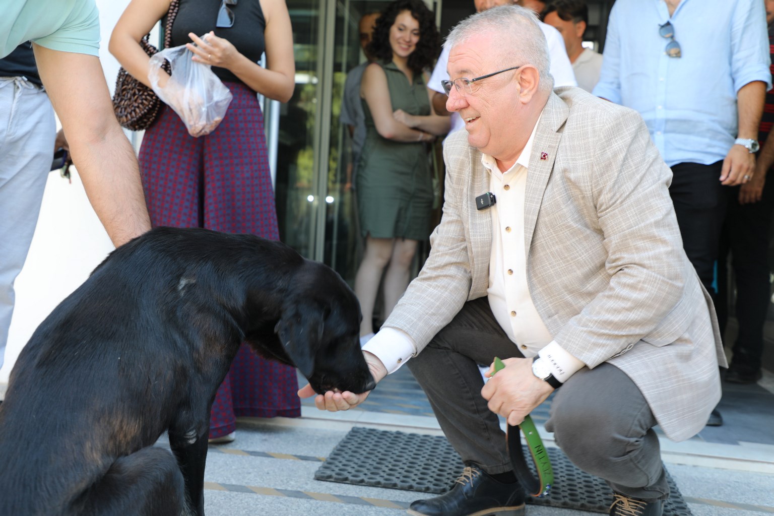Edremit Belediye Başkanı Mehmet Ertaş, sahipsiz bir sokak köpeğini sahiplenerek