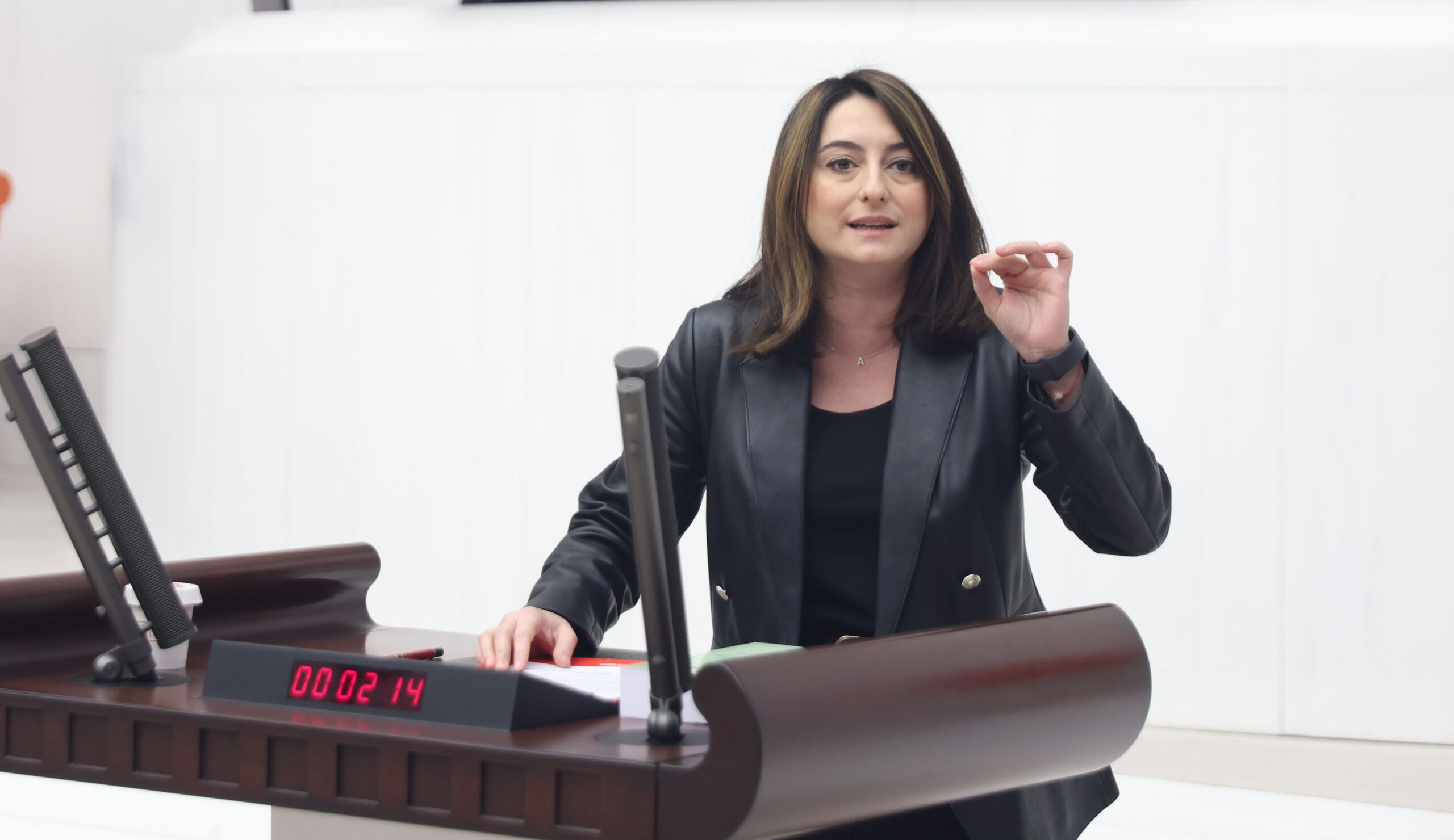CHP Bartın Milletvekili Av. Aysu Bankoğlu Giresun’da yapılan BüyükFındık Mitingi