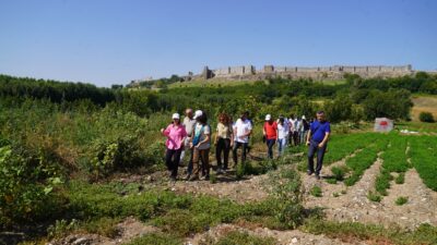 Diyarbakır Büyükşehir Belediyesi Eş Başkanı Serra Bucak, UNESCO Dünya Miras