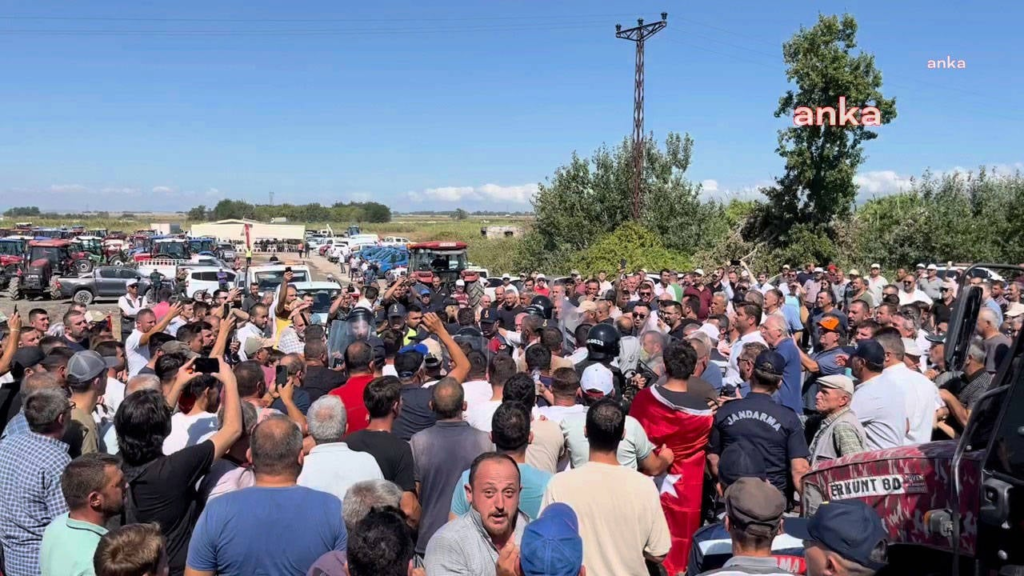 Karacabey Ovası’nda salçalık domatesleri ellerinde kalan üreticiler, Bursa-İzmir Karayolu’nda eylem