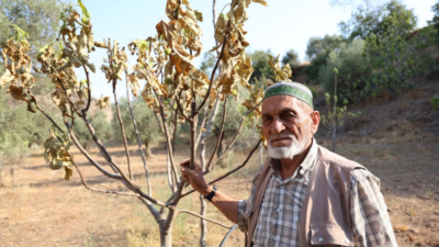 Türkiye’nin en verimli topraklarına sahip Aydın’da kuraklık ve susuzluk nedeniyle