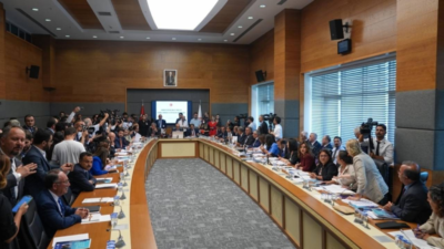 Sokak hayvanlarının katledilmesinin önünü açacak Hayvanları Koruma Kanununda Değişiklik Yapılmasına