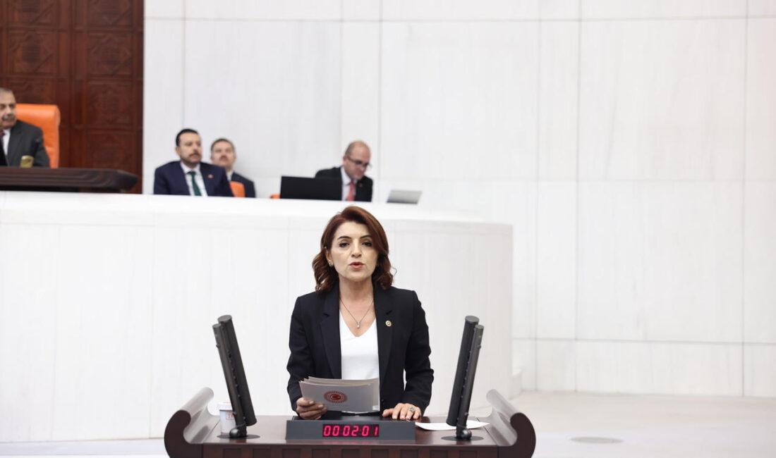 CHP Mersin Milletvekili Gülcan Kış’tan İçişleri Bakanı’na Kadın Cinayetleri Hakkında