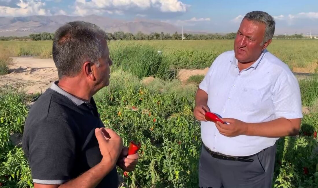 CHP Niğde Milletvekili ve Tarım, Orman ve Köyişleri Komisyonu Üyesi