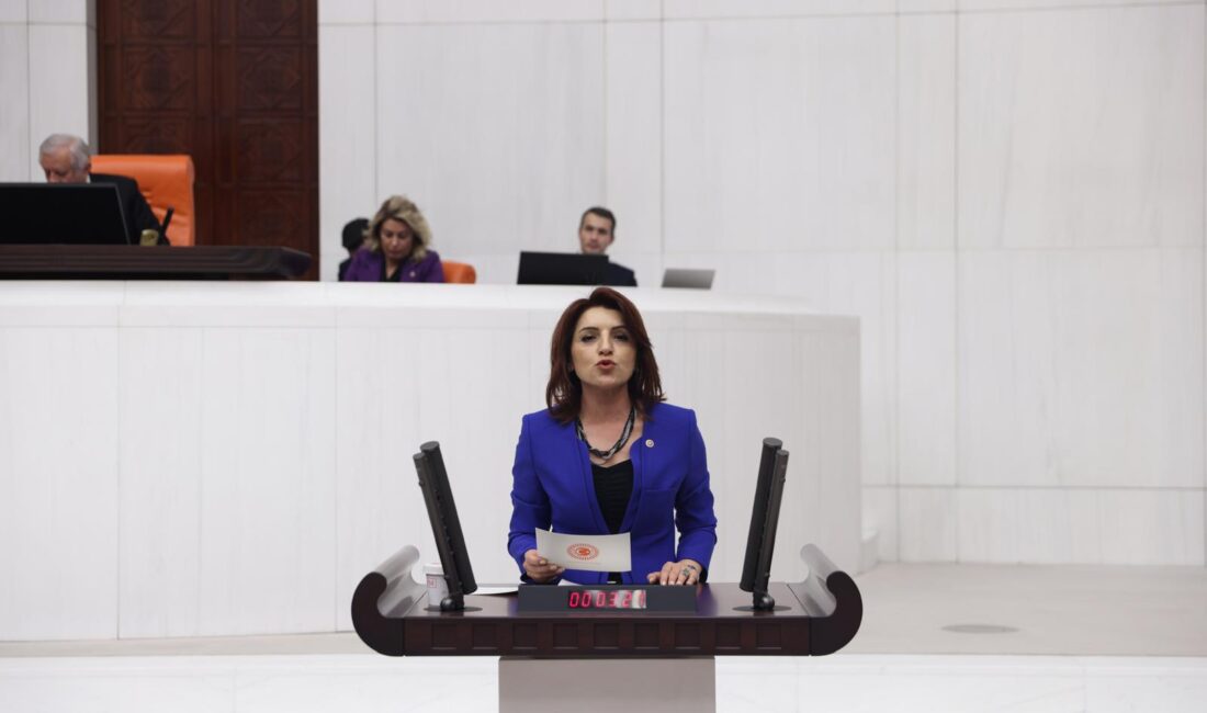 CHP Mersin Milletvekili Gülcan Kış, eğitim alanındaki krizlerin ekonomik çalkantılarve