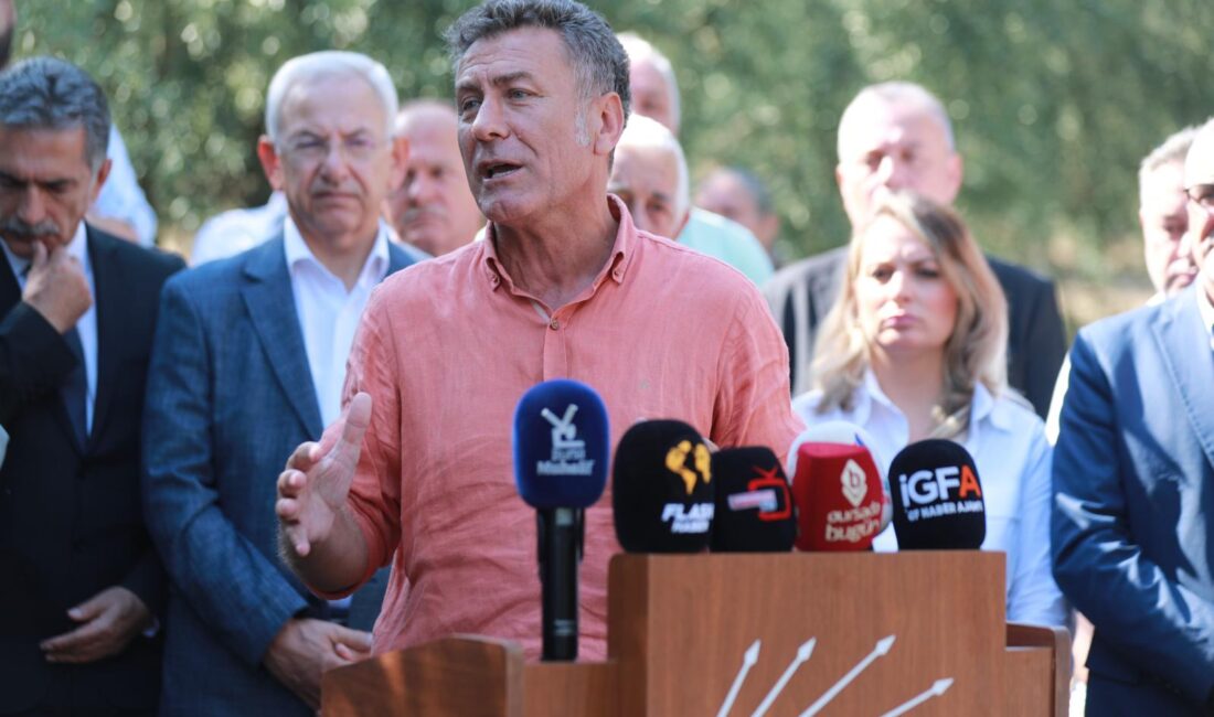 Ölmez ağacımız Zeytin; Sofralık ve yağlık zeytin olmak üzere ikişekilde