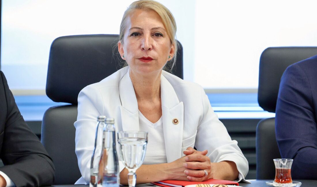 CHP Muğla Milletvekili Süreyya Öneş Derici; Bodrum’da son günlerde tekrar