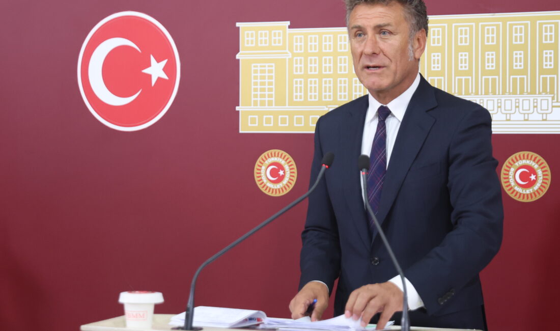 Yağlı tohumlar yeterli, dengeli ve sağlıklı beslenme için tüketilmesi gerekli