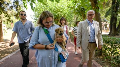 Sahipsiz Köpek Popülasyonu Yönetimi İzmir Eylem Planı hazırlandı İzmir Büyükşehir