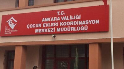 CHP Aile ve Sosyal Hizmetlerden Sorumlu Genel Başkan Yardımcısı Aylin