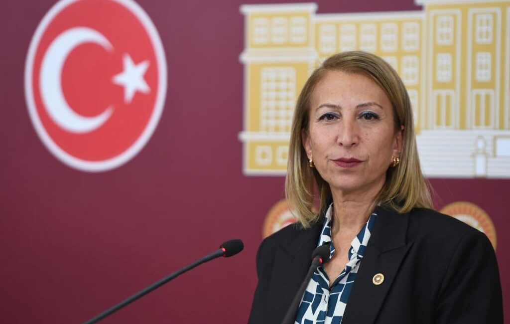 Muğla Milletvekili Süreyya Öneş Derici, Ortadoğu’da Ekim 2024’te tırmanan İsrail-İrançatışmalarının