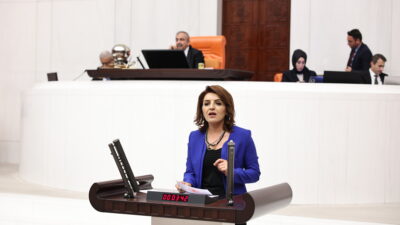 Tüketici Haklarını Savunarak TBMM’de Hükümeti Eleştirdi TBMM Genel Kurulu’nda, Tüketicinin