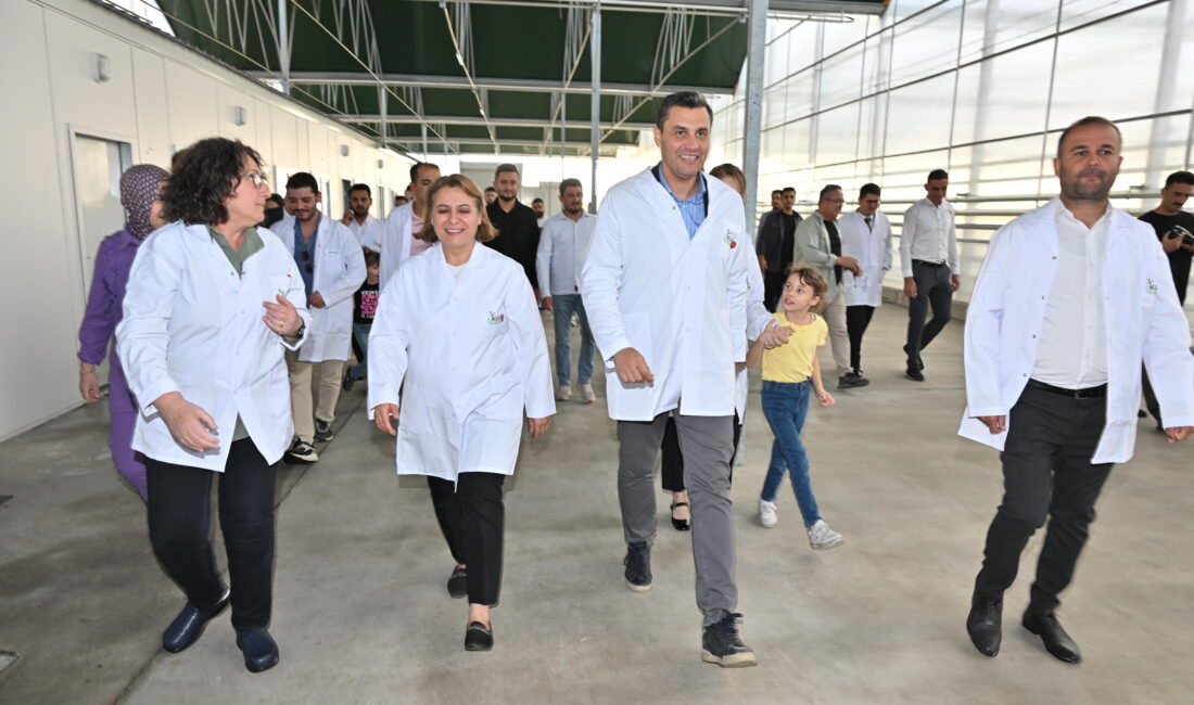 Kula Jeotermal Kaynaklı Teknolojik Sera’da yeni ürün sezonu açılışı gerçekleştirildi.