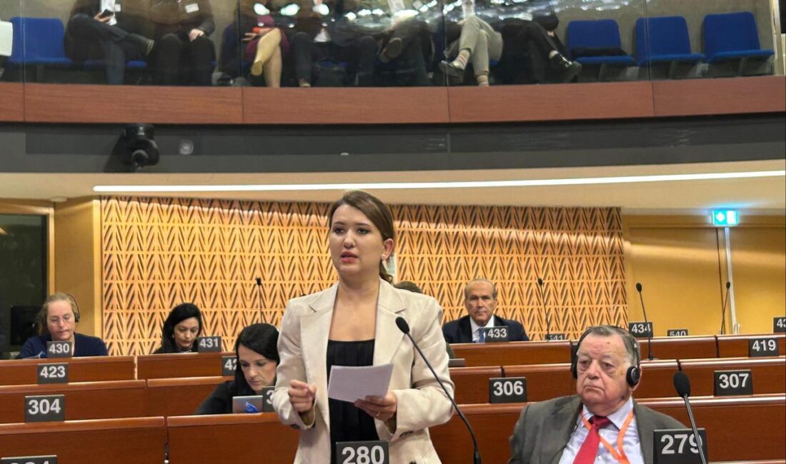 CHP GENEL BAŞKAN YARDIMCISI VE AVRUPA KONSEYİ PARLAMENTER MECLİS ÜYESİ