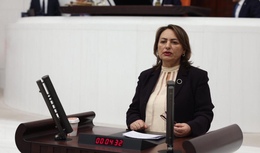 “Ekonomi dip yapmış, AKP; Çinli BYD, Chery ve Trendyol’a yüz
